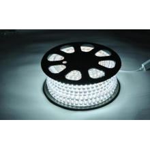 IP44 with CE RoHS 220V 110V Outdoor Use for Garden Party Street LED Light Strip